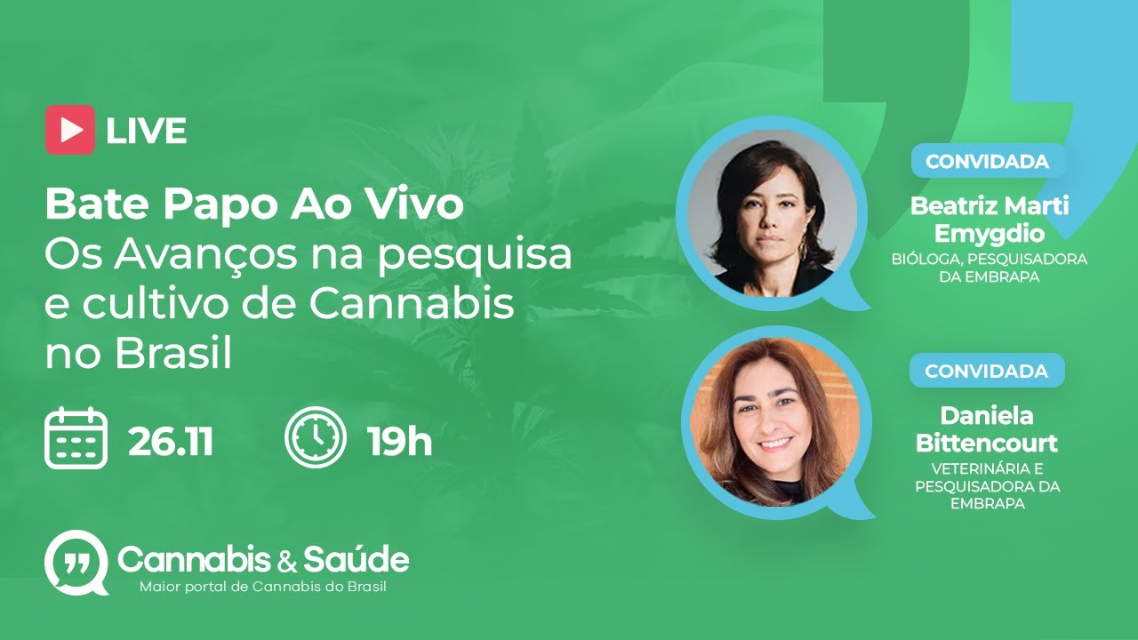 Os avanços na pesquisa e cultivo de Cannabis no Brasil