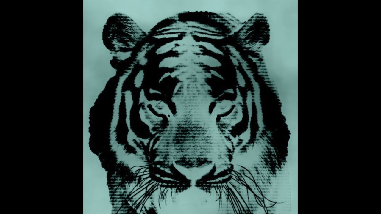 Studio Killers - Bouncer (Fear Of Tigers Remix)