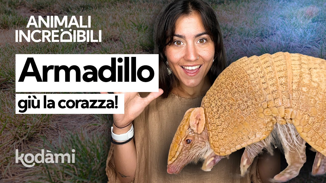 Come fa l'armadillo ad appallottolarsi? I segreti di questo piccolo corazzato