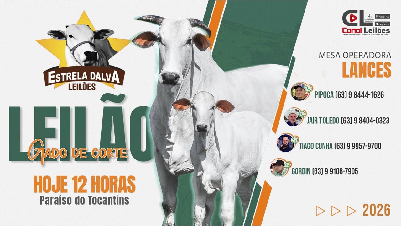 Canalleiloes.com | LEIL&Atilde;O DE ANIVERS&Aacute;RIO ESTRELA DALVA LEIL&Otilde;ES | PARA&Iacute;SO-TO 18/01/2026.