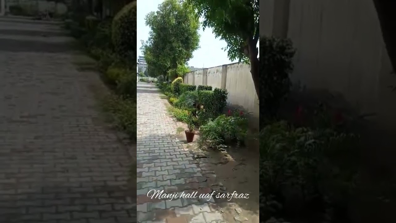 manji hall uaf gardning wing CHW office sarfraz 22.3.21