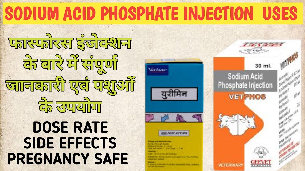 sodium acid phosphate injection uses in veterinary .urimin injection uses .phosphorus injection use