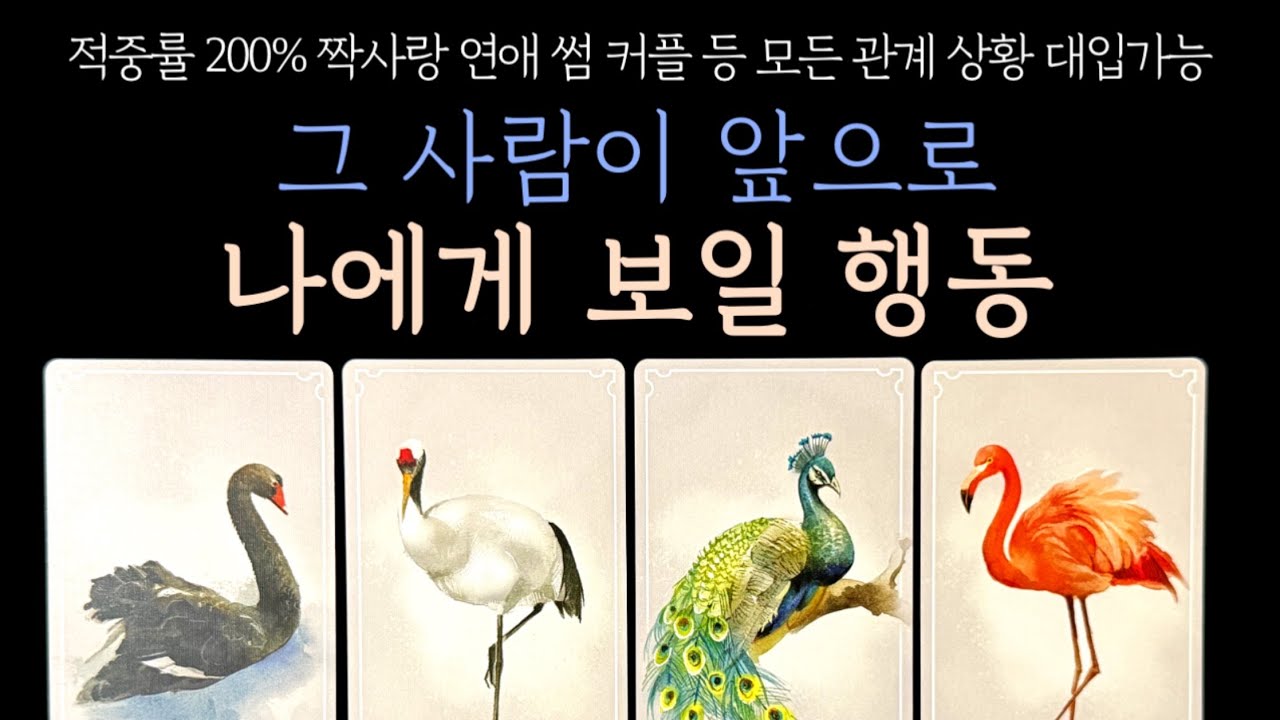 [타로] ⚡️소름적중리딩⚡️ 그 사람이 앞으로 나에게 보일 행동