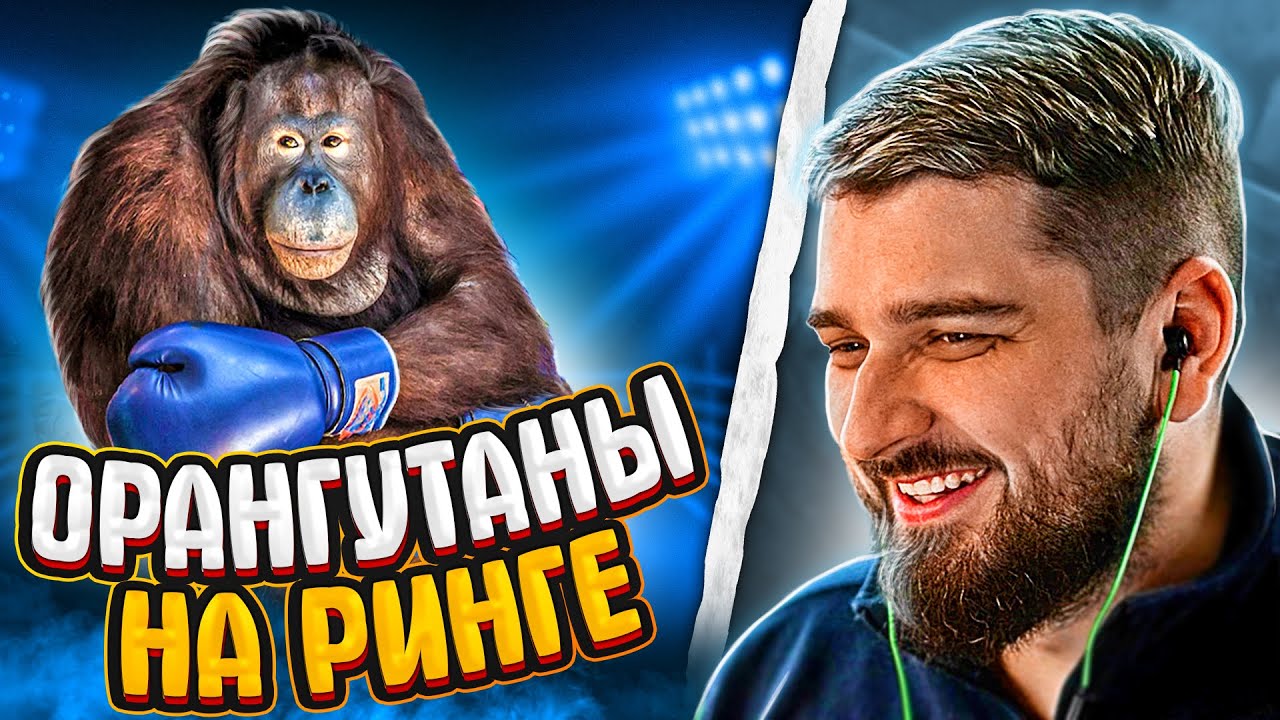 HARD PLAY РЕАКЦИЯ БОКС ОБЕЗЬЯН НА РИНГЕ - Yuri The Professional