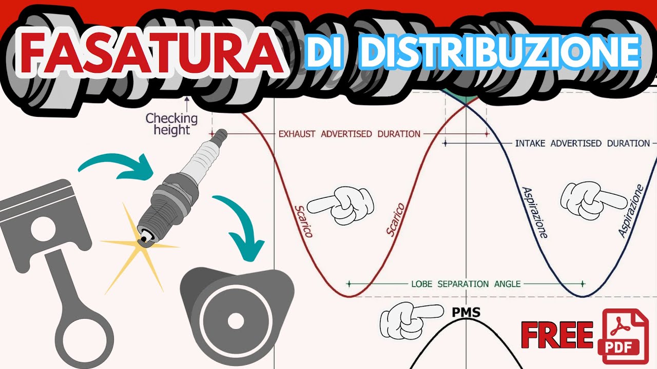 Fasatura di distribuzione: tutta la teoria spiegata passo passo!