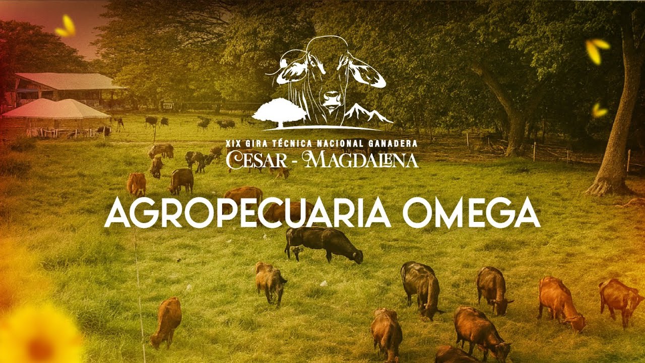 Agropecuaria Omega (Gira Ganadera Cesar - Magdalena)