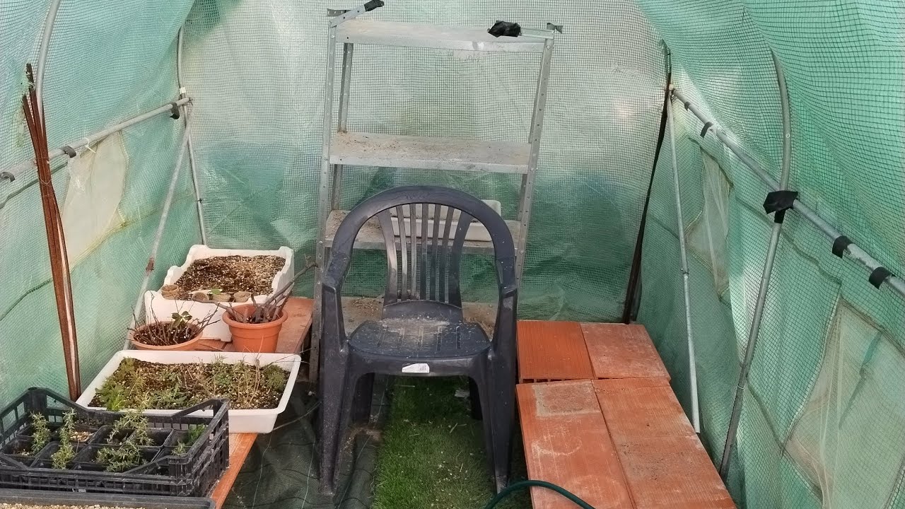 Segundo dia acondicionando el vivero para la futura produccion 🔝 invernadero, zona de transplante...
