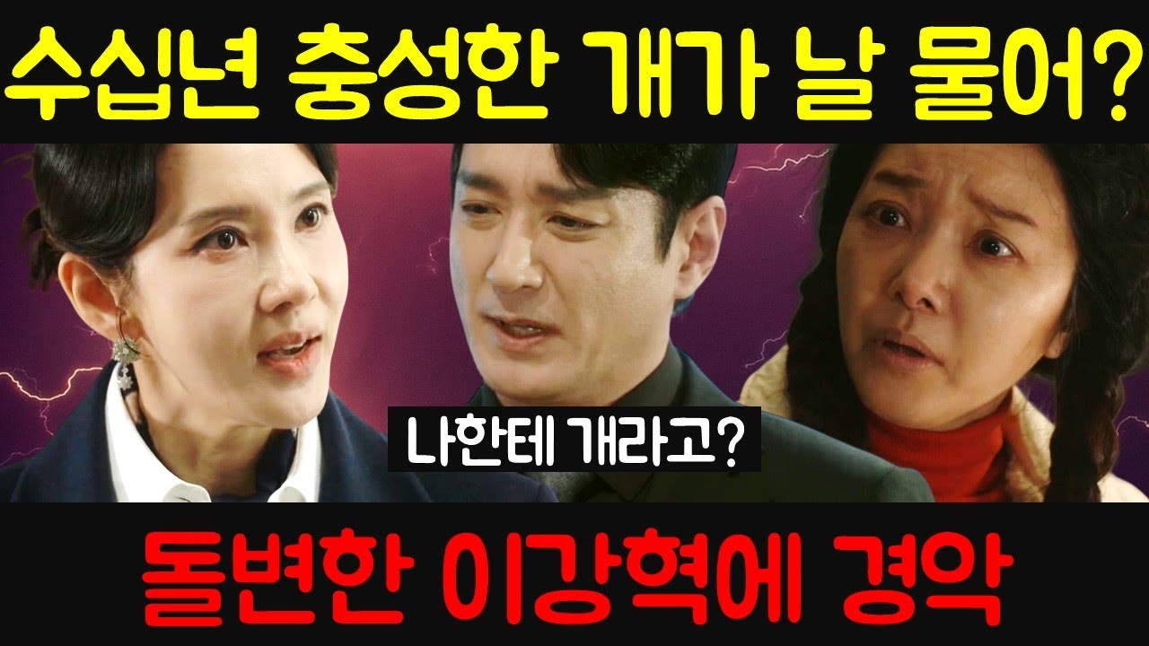첫 번째 남자 🔥 충성한 개가? 🔥 첫 번째 남자 드라마팬픽 리뷰 예고 예상 스토리