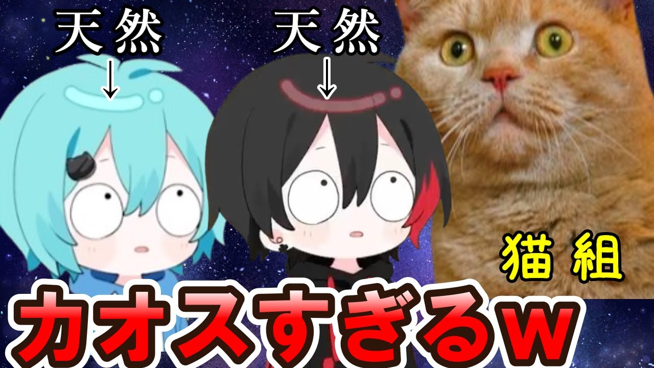 【めろんぱーかー】めろぱか天然TOP２の名シーン集めたらやっぱりカオスｗｗｗ#そらねこ#KAITO【切り抜き】