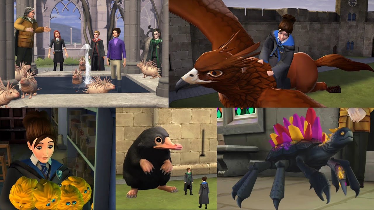 Magical Creatures Everywhere | Year 4 Side Quest | Harry Potter Hogwarts Mystery | Zeny Plays