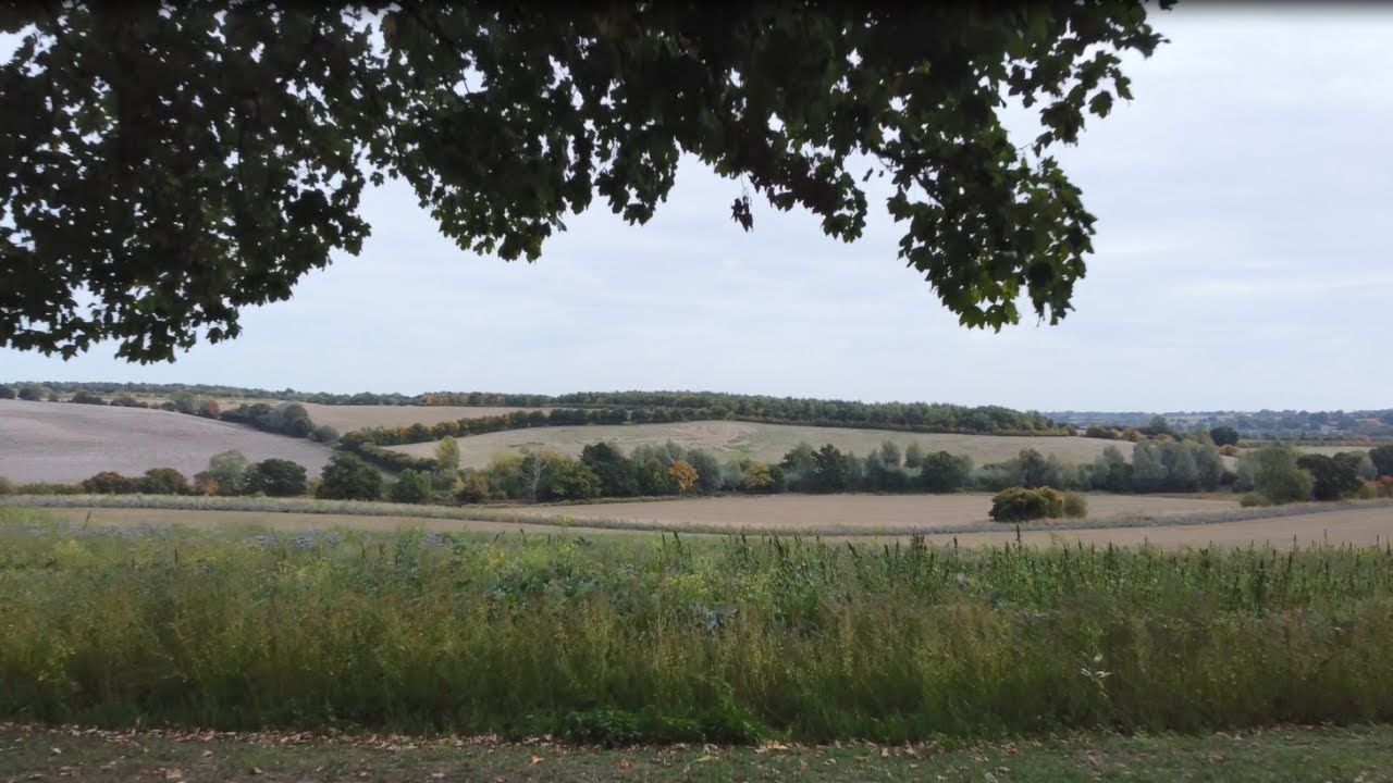 Welcome to the Dedham Vale Area of Outstanding Natural Beauty