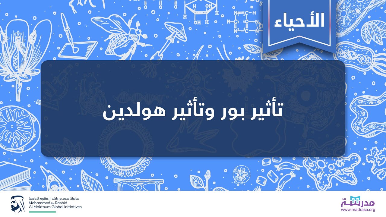 تأثير بور وتأثير هولدين | الأحياء |التشريح وعلم وظائف الأعضاء