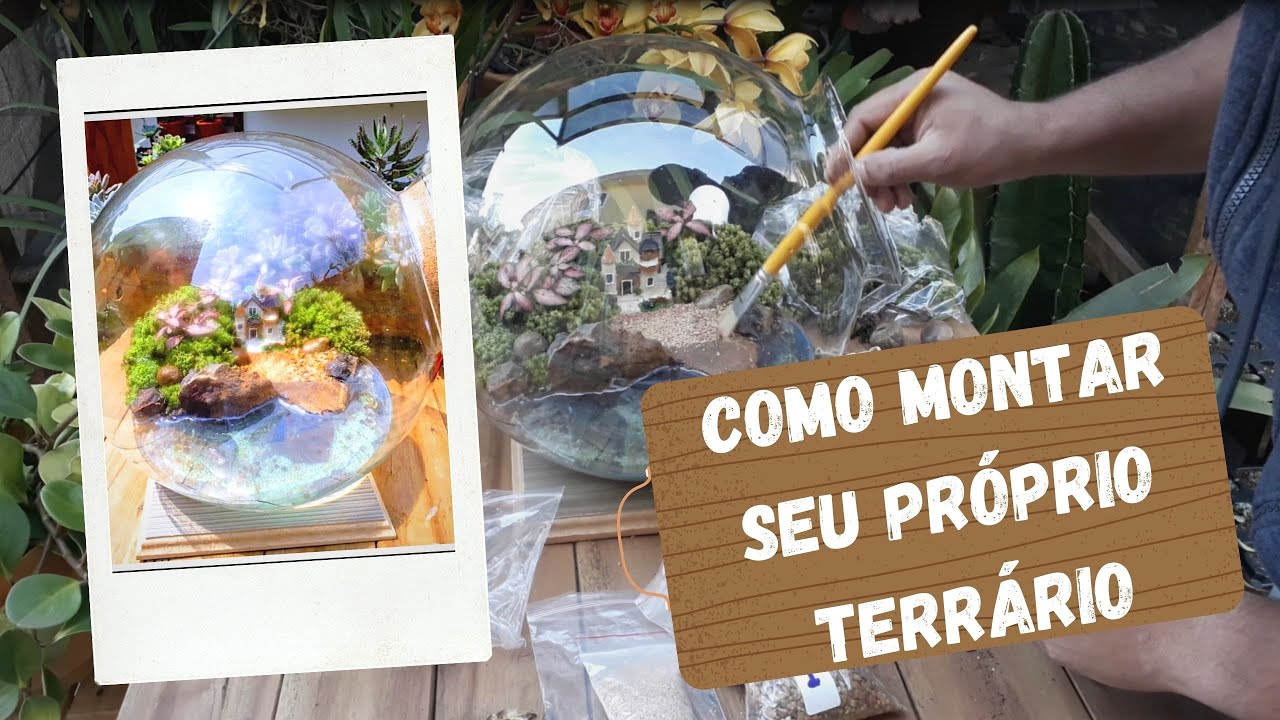 Como montar seu próprio terrário - Kit Globo G - Arte Flora Terrários