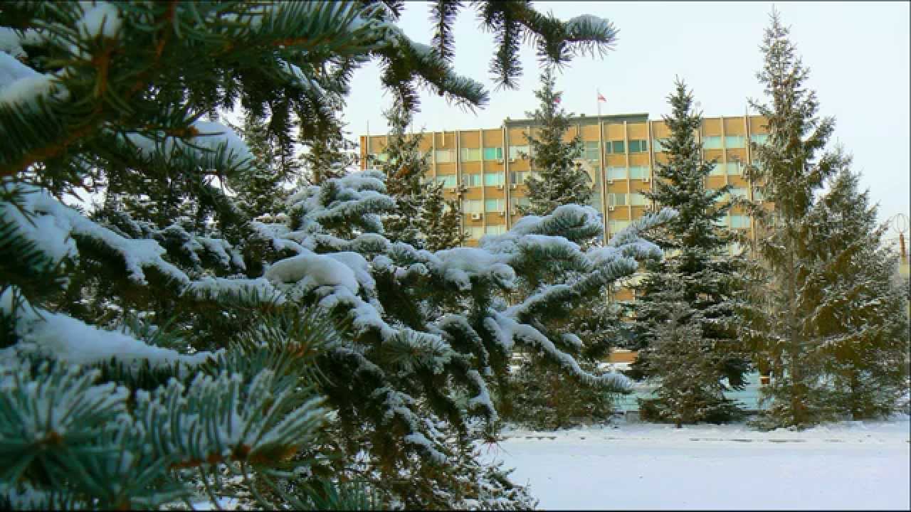 Орск,зелёный городок