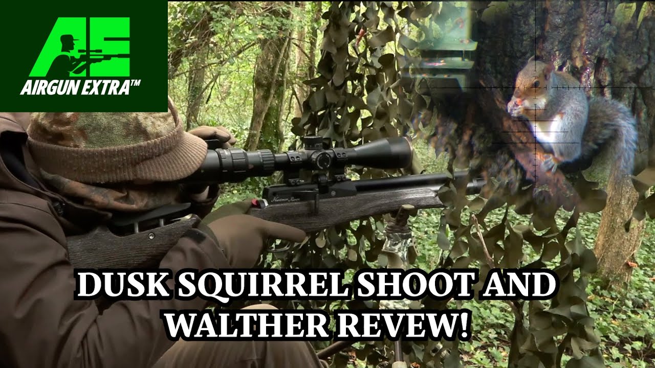 Airgun Extra | Squirrel hunting with Daystate Huntsman | Walther Reign M2 airgun review