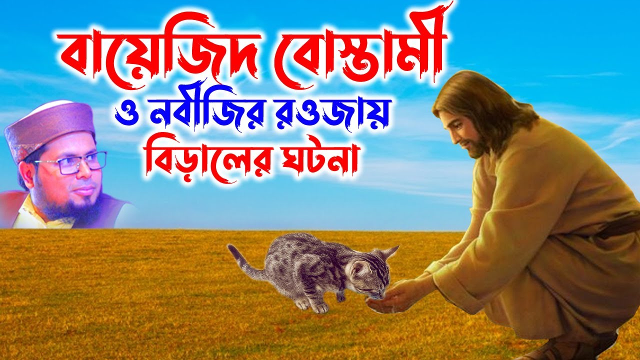 বায়েজিদ বোস্তামীও মদিনার বিড়ালের ঘটনা । দেলোয়ার হোসেন তাহেরপুরী | Mufti Delwar Hossain Taherpuri