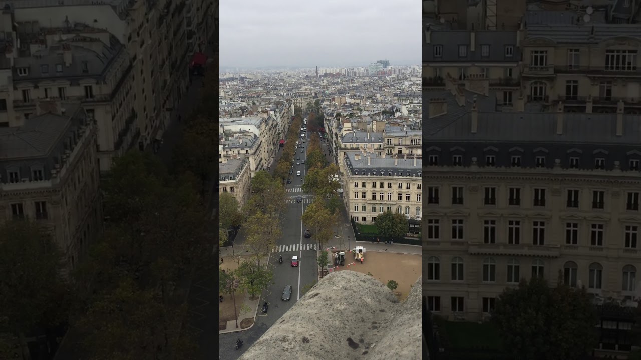 Bird viewing Paris 10/30/19 #paris #france #travel