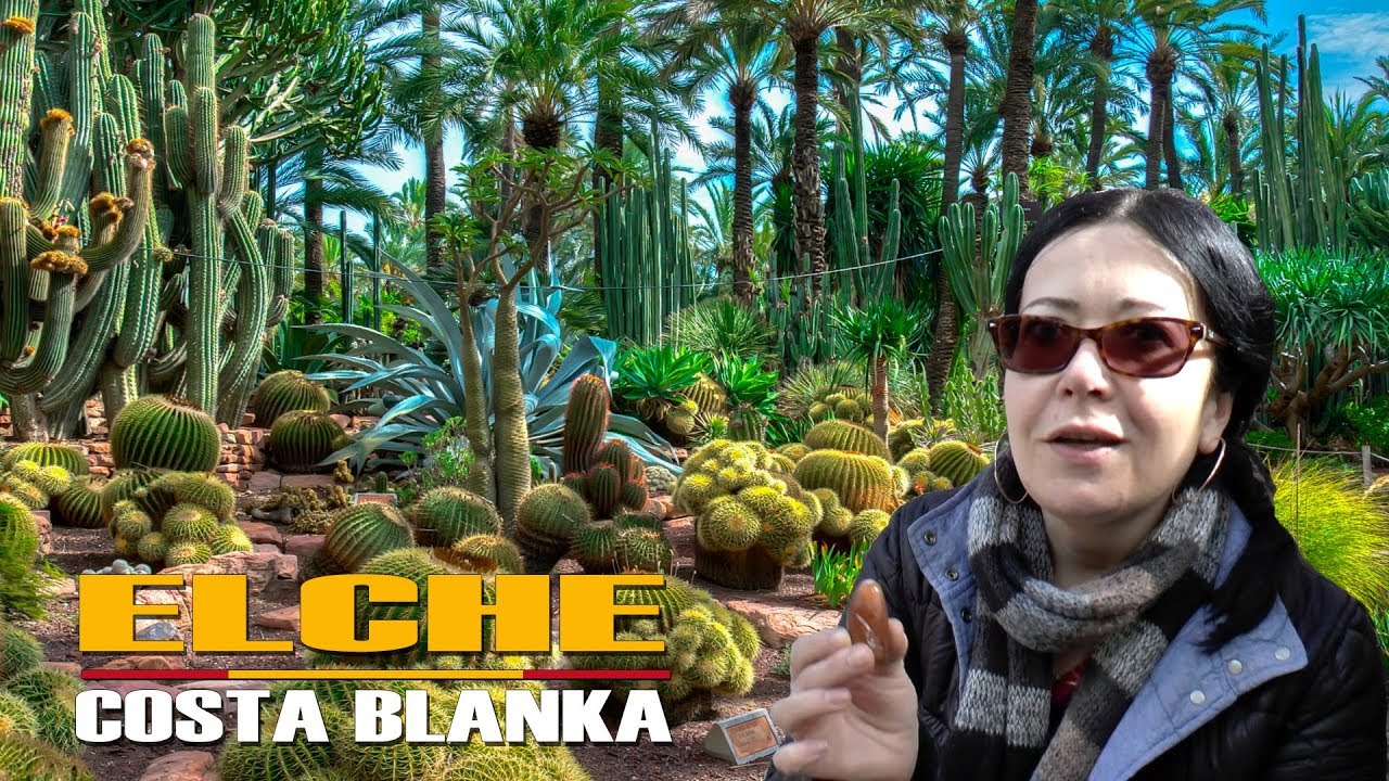 HISZPANIA 🇪🇸 ELCHE - OBY CI PALMA NIE ODBIŁA