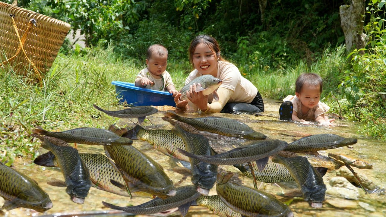 Journey on the sea with children - catching fish and giant fish traps on rainy days - cooking