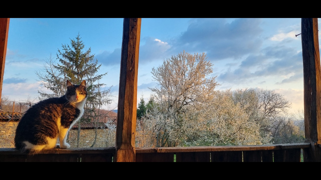 Balkan spring, the sights sounds and no smell.