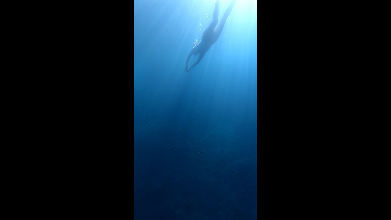 Croatia Underwater World
