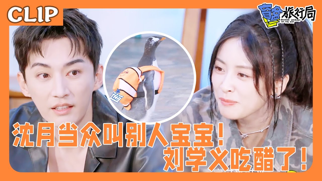 沈月叫别人宝宝！刘学义直接吃醋了！|盲盒旅行局|#沈月#shenyue