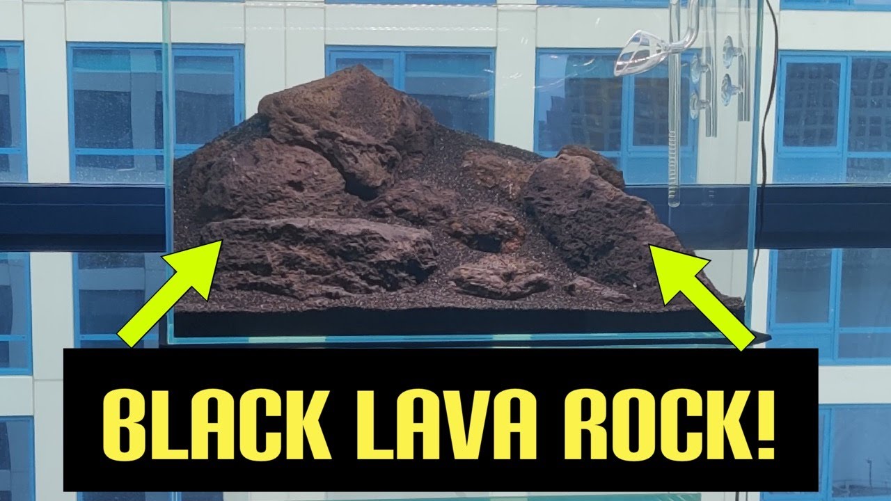 Aquascaping With Black Lava Rock *Part 1*