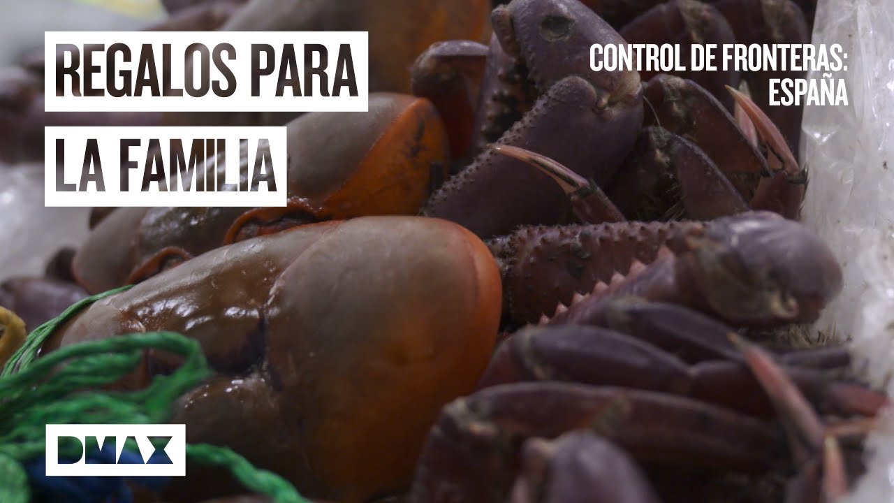 Estos pasajeros traen regalos que no pueden salir de las aduanas | Control de fronteras: España