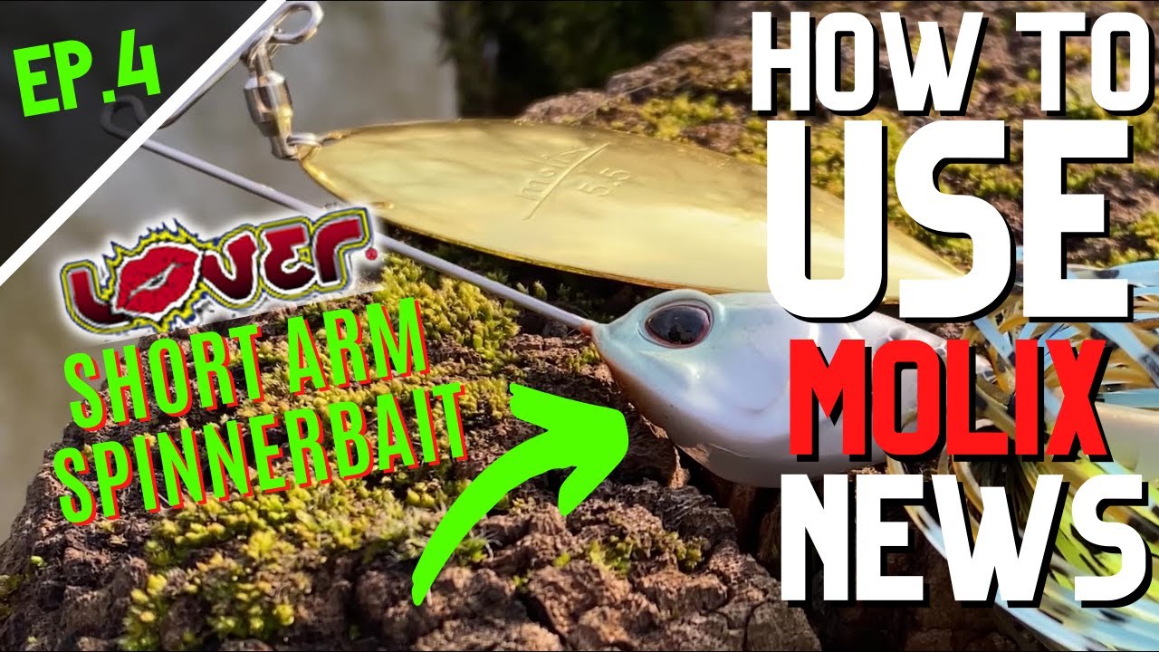 HOW TO USE | MOLIX NEWS - EP. 4 | LOVER SHORT ARM SPINNERBAIT