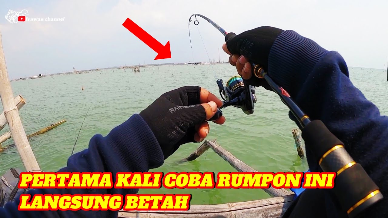Tak Sengaja Mancing Di Rumpon ini Malah Dapat Hasil Yang Memuaskan