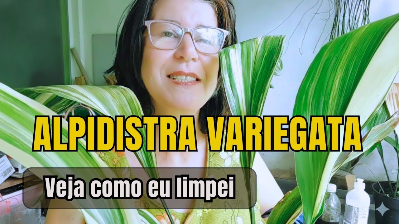 Com Apenas 3 INGREDIENTES  limpei as folhas dessa planta(passo a passo completo)