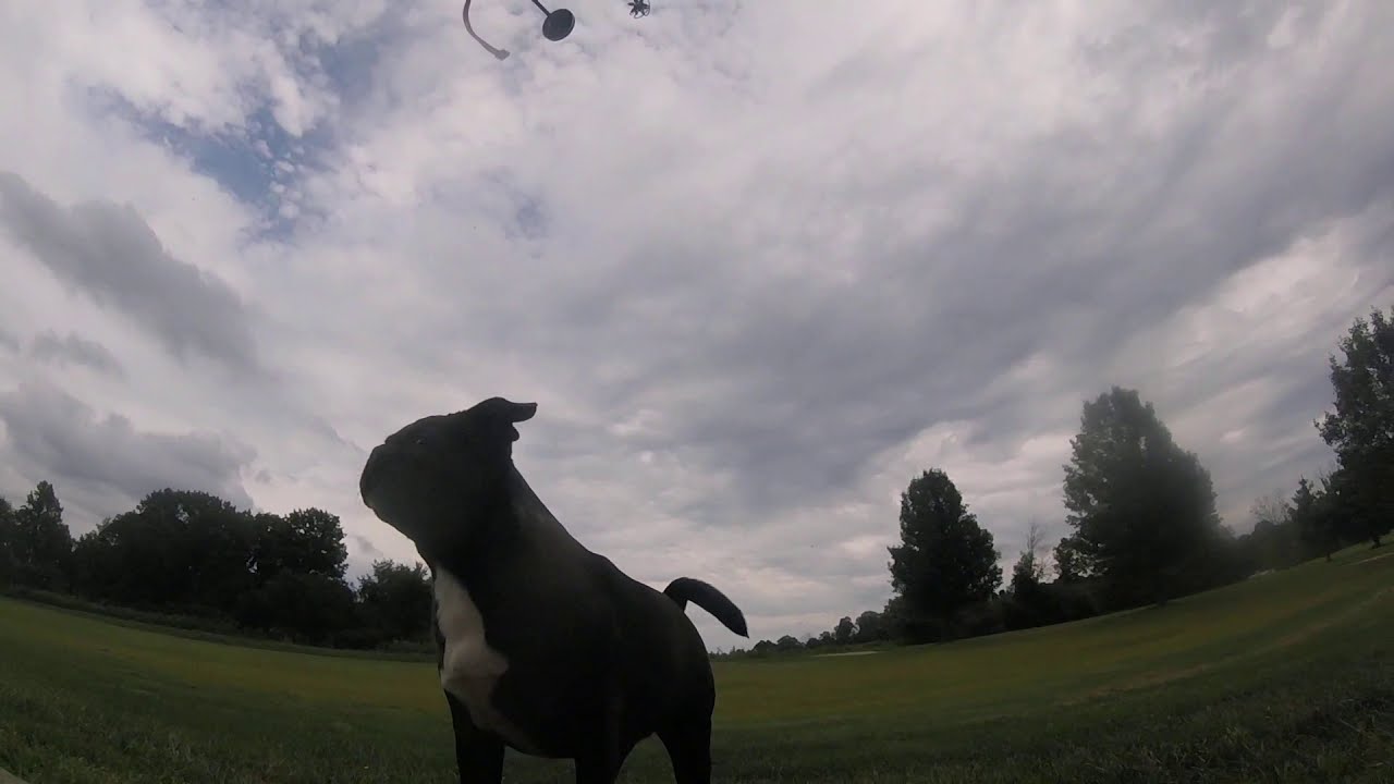 Barnstormer 250 - Maiden Flight