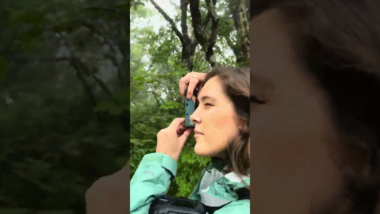 National Forest Week with The Landmark Project & Rachel Pressley
