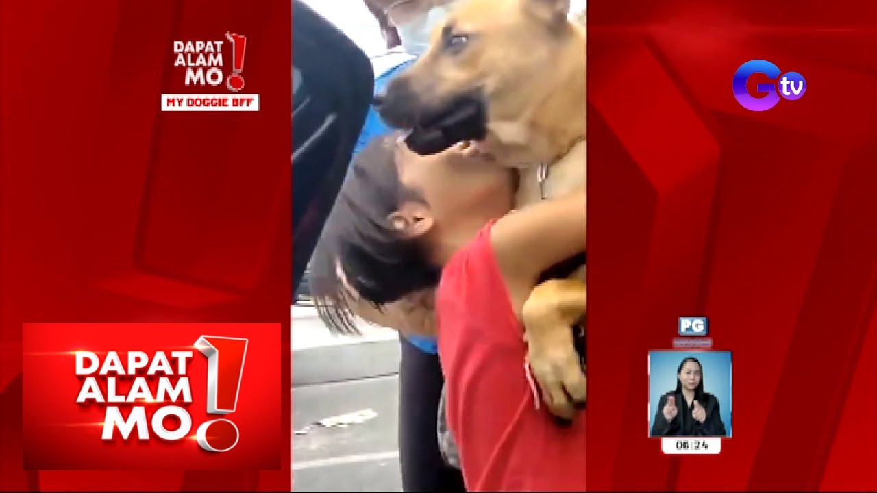 Mag-best friend na aso at isang bata, bakit kailangang maghiwalay? | Dapat Alam Mo!