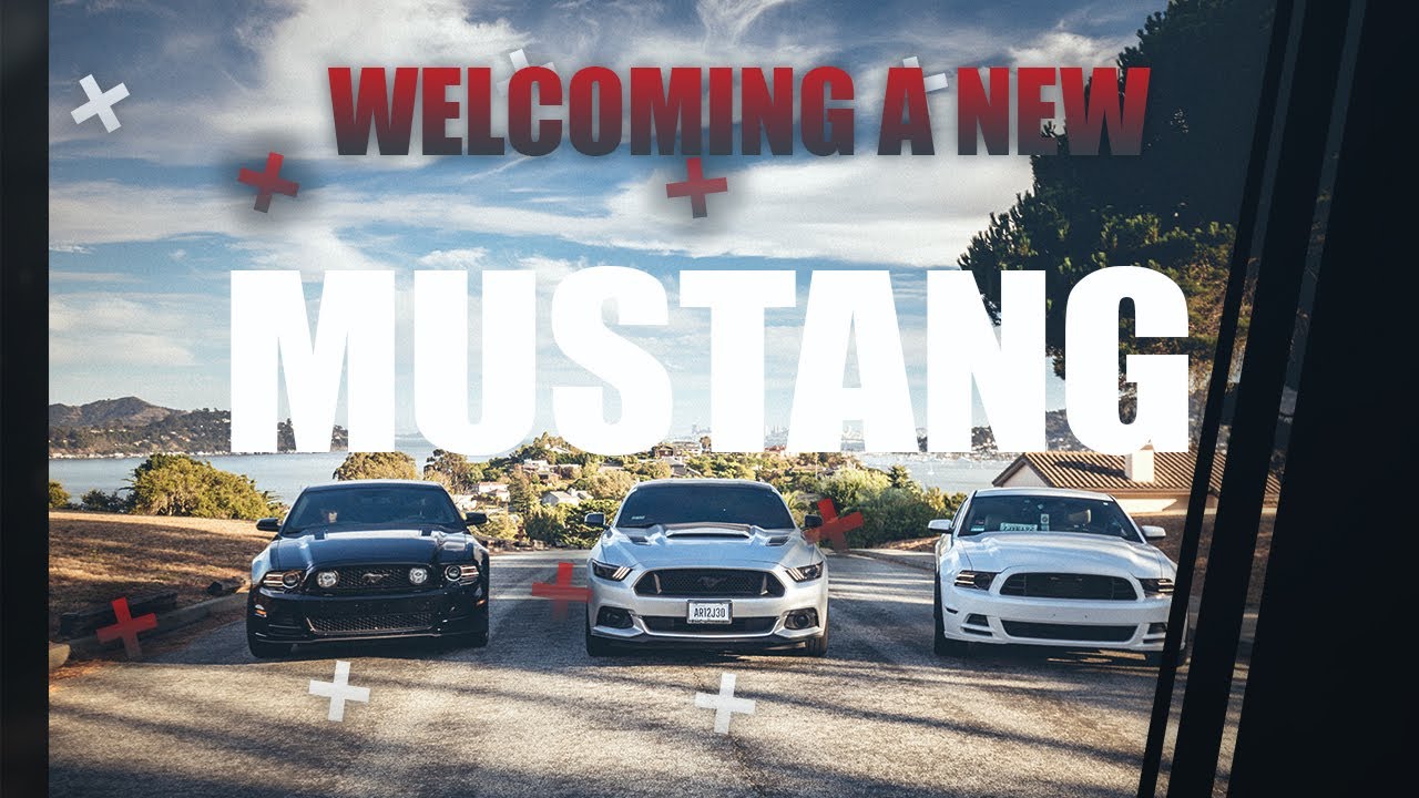 BUYING A MANUAL MUSTANG WITHOUT KNOWING HOW TO DRIVE IT