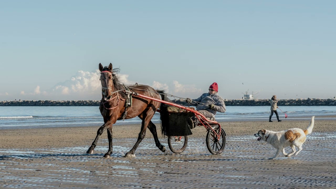 FUORI STAGIONE (IL MIO MARE IN INVERNO)