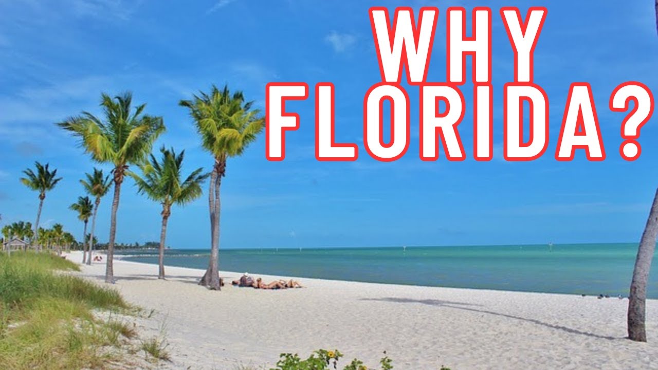 Why Do So Many Illinoisans Move To Florida??? - Illinois Exodus