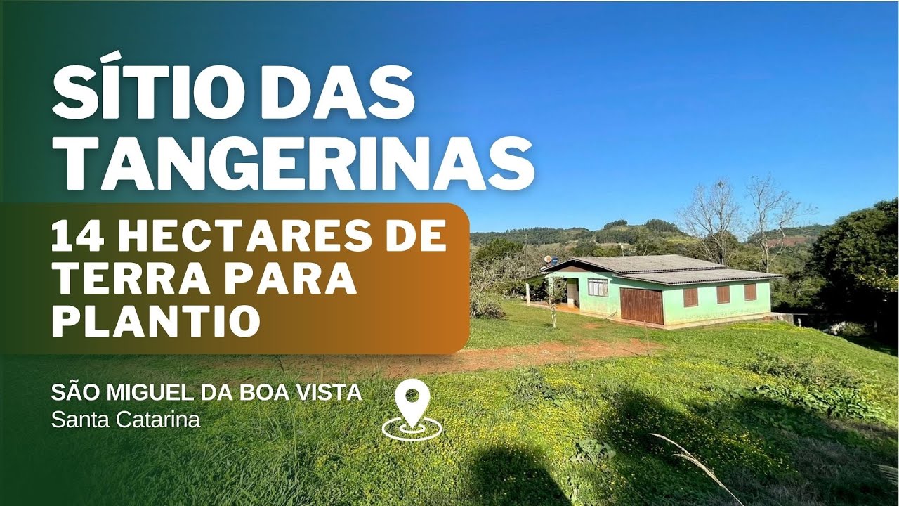 (VENDIDO) SÍTIO À VENDA 24.7 HECTARES LAVOURA CASA FRUTAS E ÁGUA R$1.680MI
