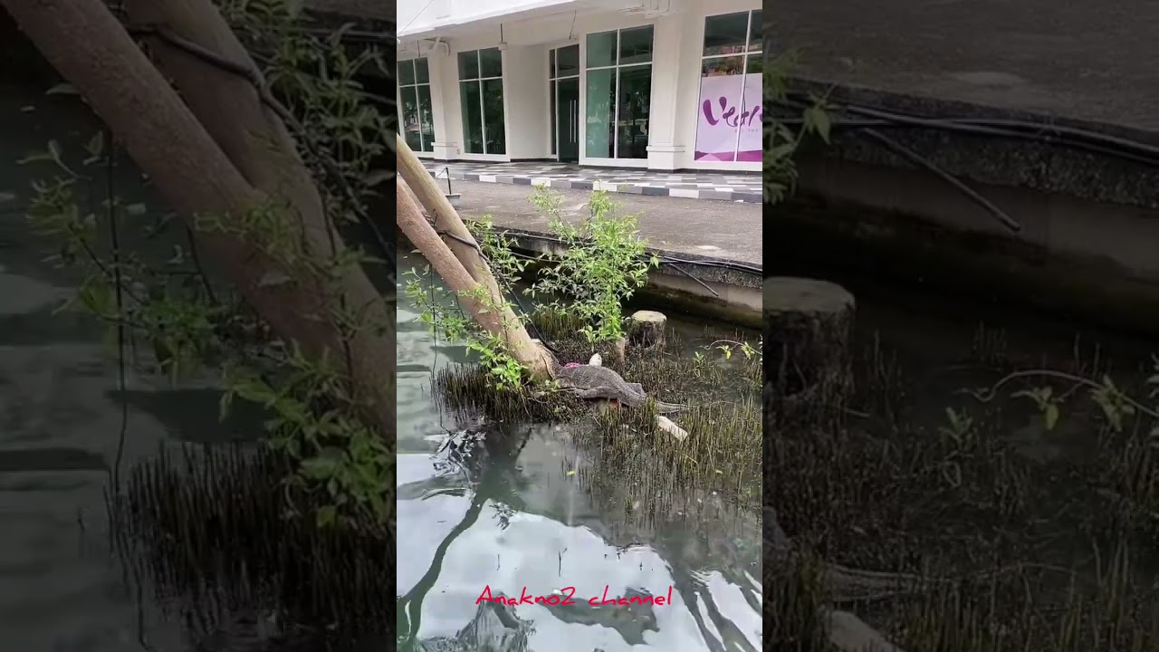 Dua jam jalan kaki di kota Melaka 