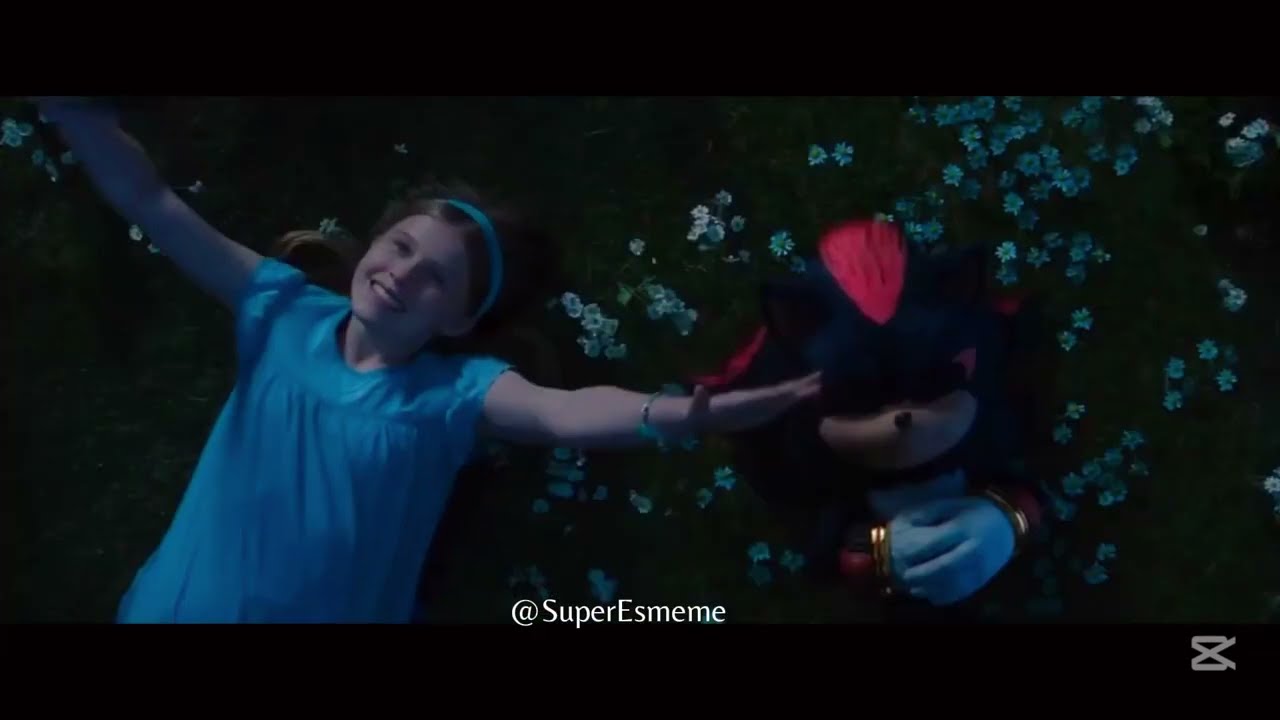 birds of a feather - sonic movies tribute