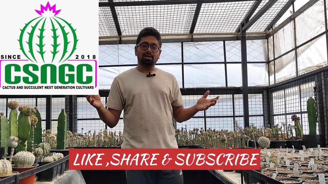 EPISODE - 07. TOPIC : HOW TO DE-GRAFT A PLANT TO MAKE A OWN ROOTED PLANT. @purnendubhattacharje 