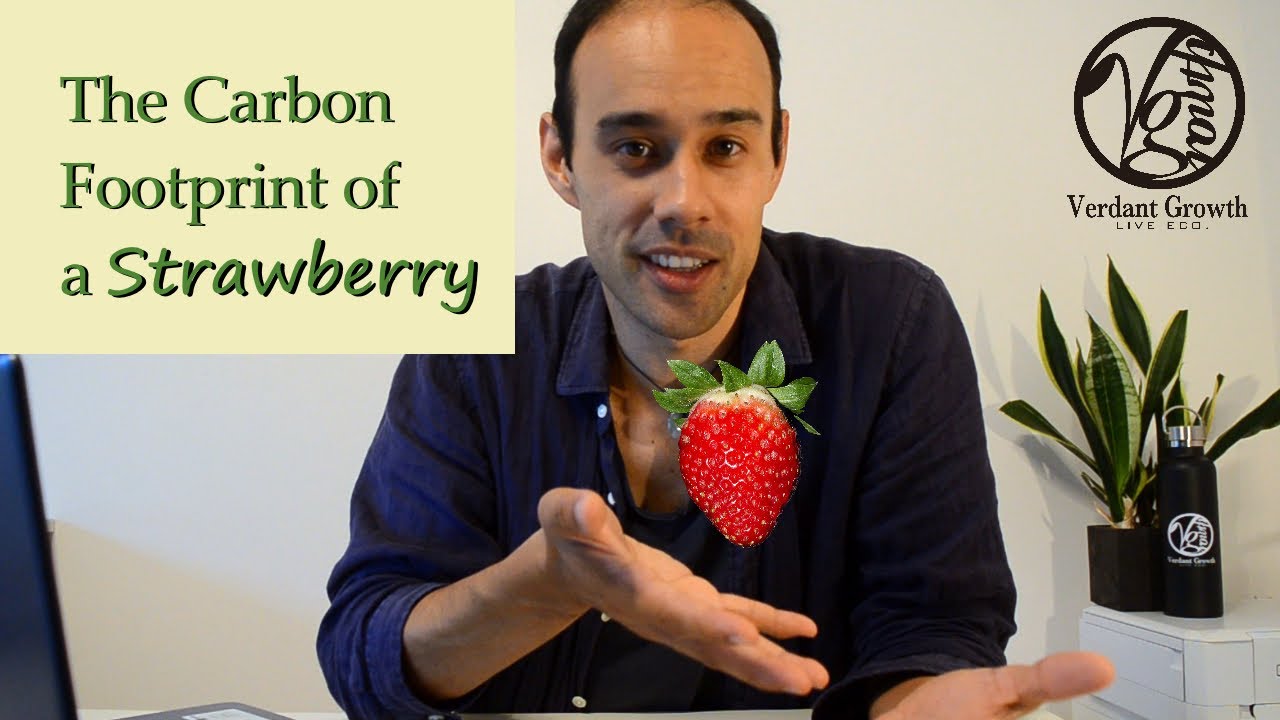 What's The Carbon Footprint of A Strawberry?
