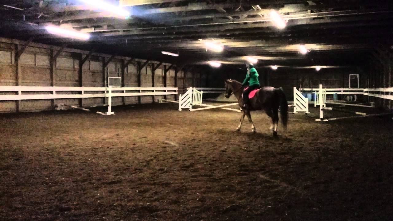 First time jumping a course!!!