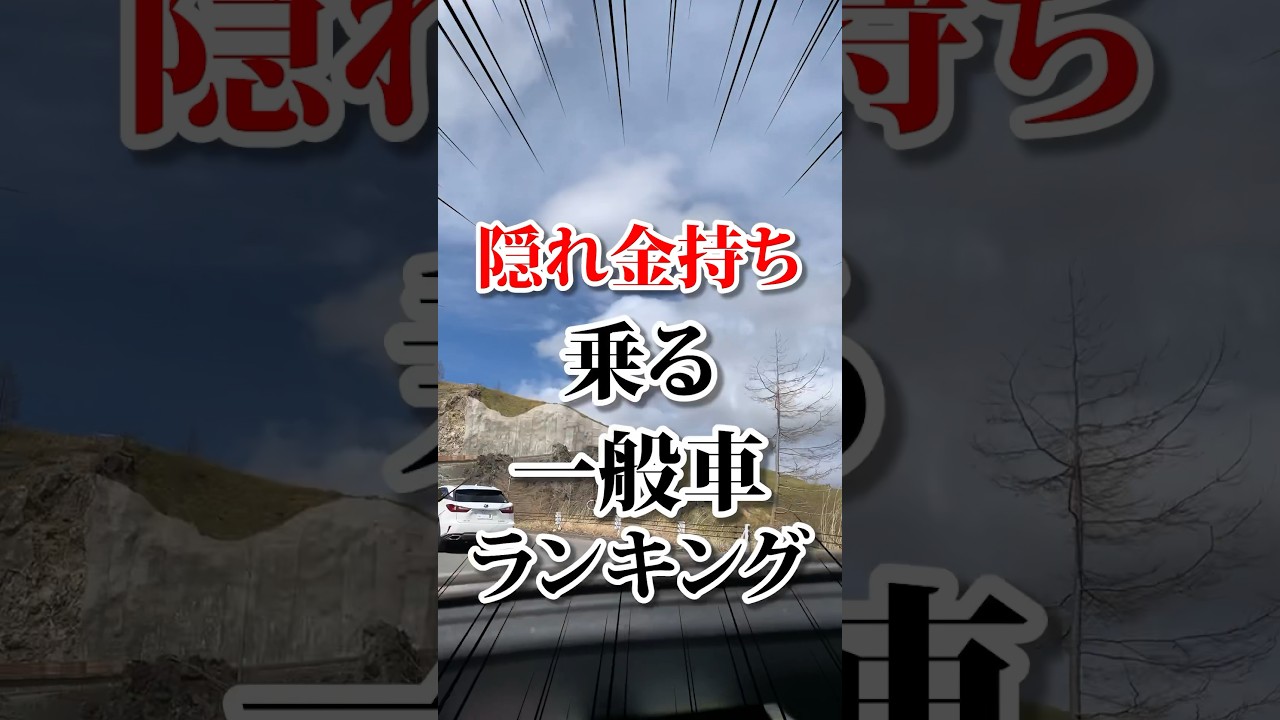 隠れ金持ち乗る一般車、独断と偏見注意⚠️ 