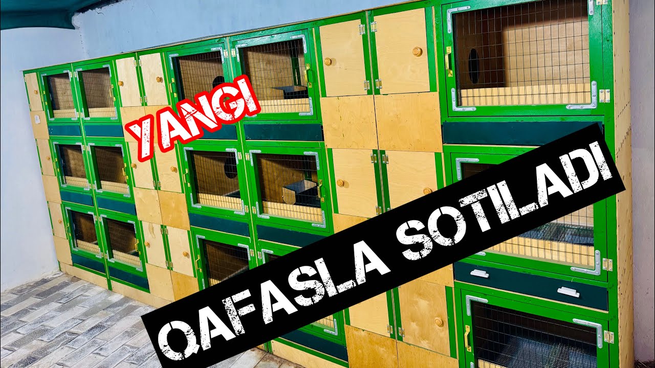 SOTILDI RAHMAT #qafas #клетка #ин #in #yasash