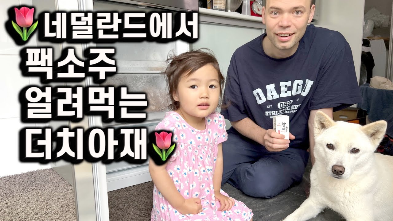 네덜란드시골에서 한국 냉장고 사자마자 팩소주부터 얼리는 대구아저씨 | 이민 정착기 16