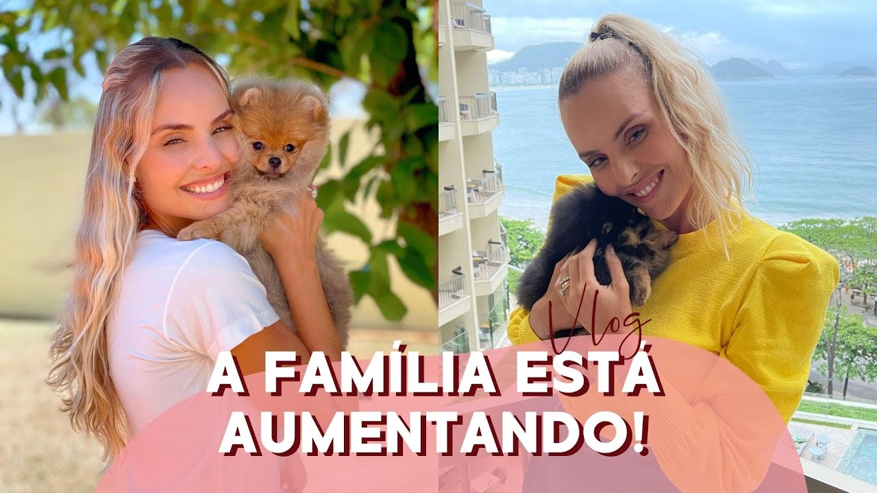 VLOG: Agora são duas? 🐶🤩A chegada de Bella e Babi. | Layla Monteiro