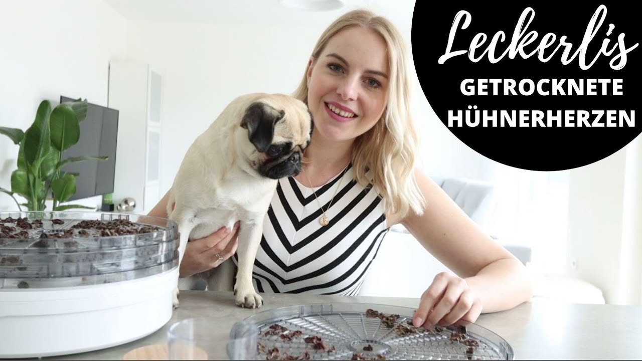 Hundeleckerlis selber machen| Getrocknete Hühnerherzen Rezept | Hundekanal