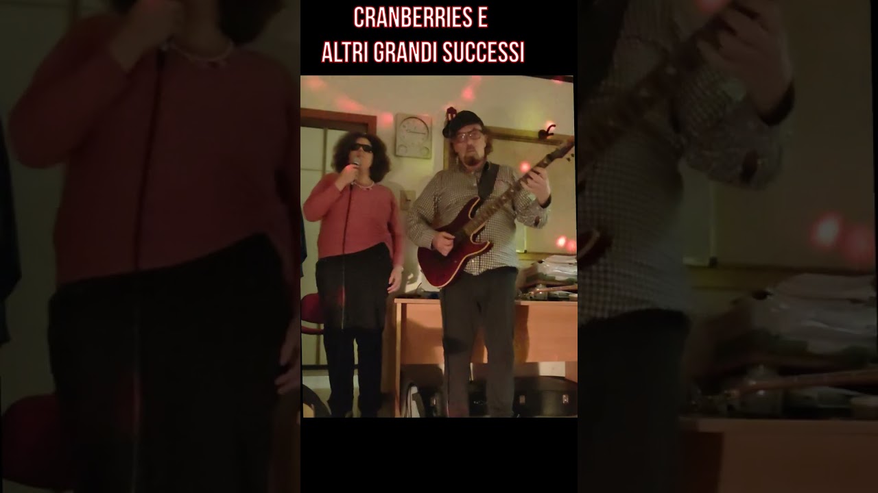 Cranberries Jektor Guitar Project Emty
