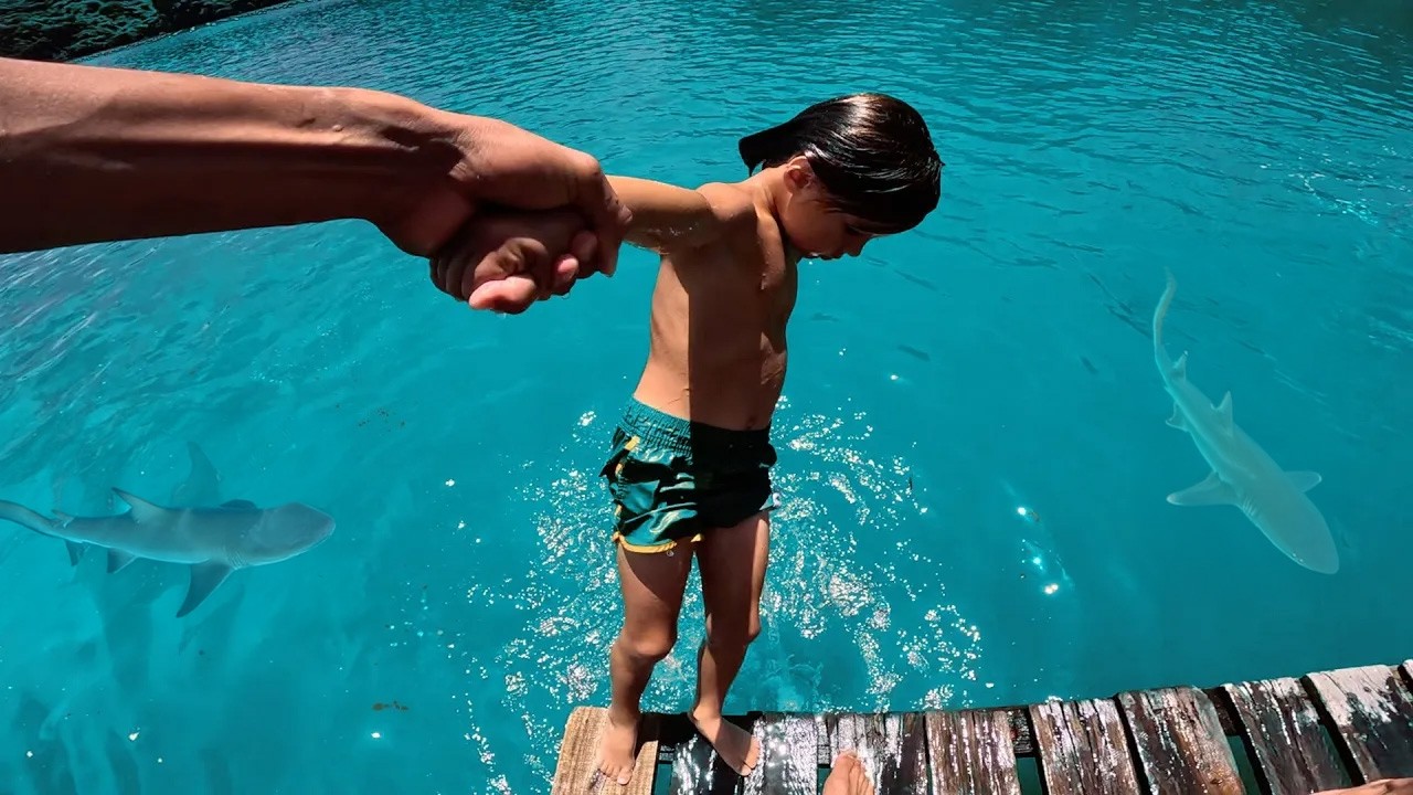 SHARK CHECK Before You Deep Dive /// Safe Bucket List Kids Adventures in Vietnam!